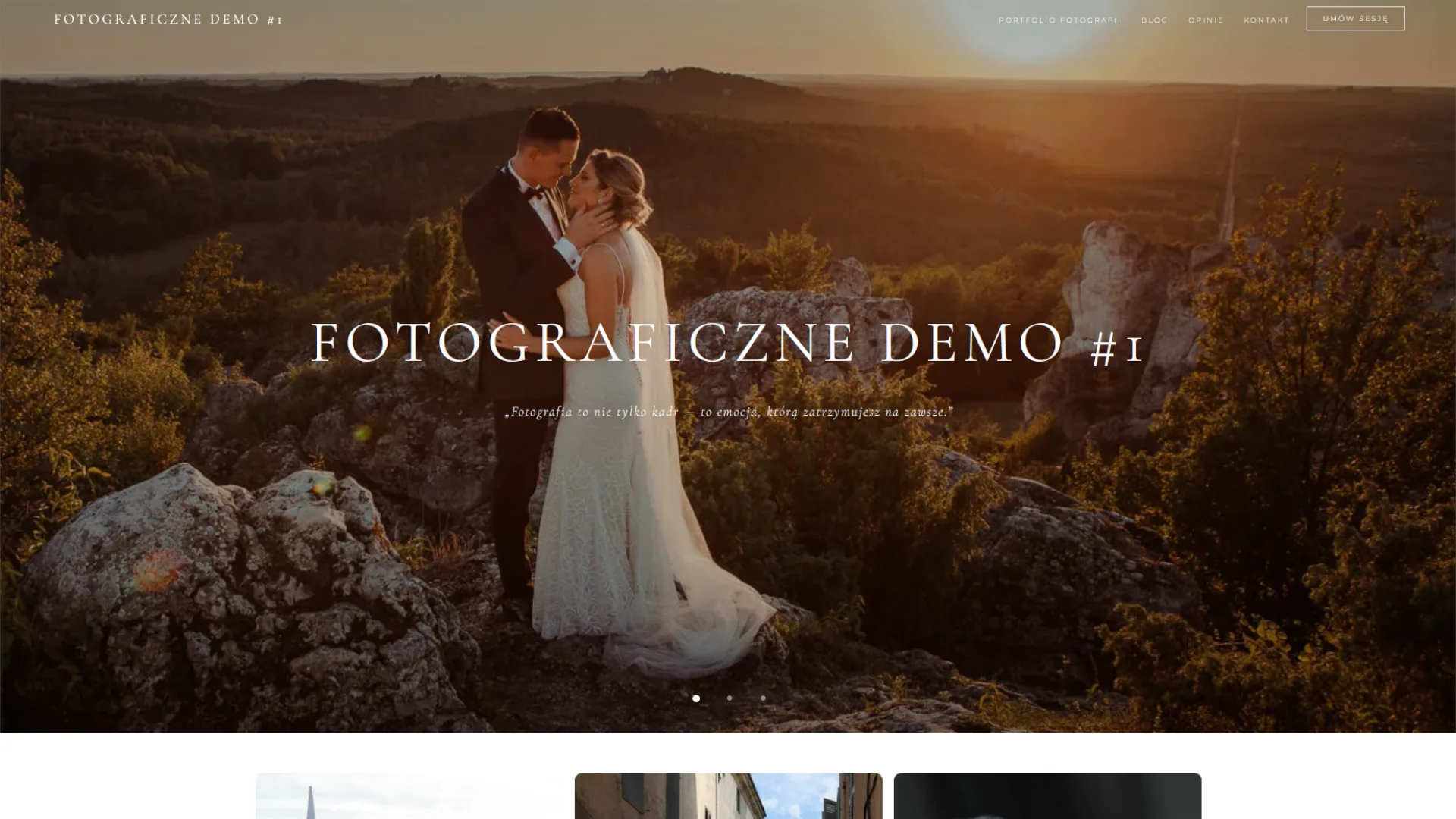 Podgląd strony demo